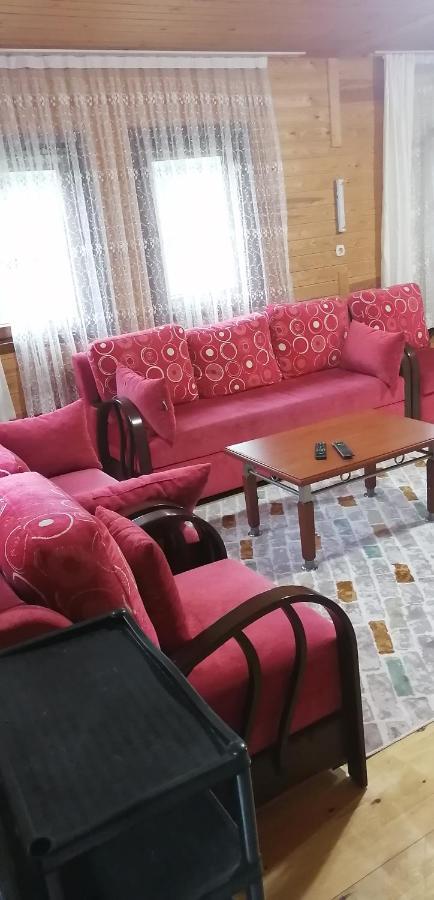 Villa Zafran 艾德亚耶拉西 外观 照片