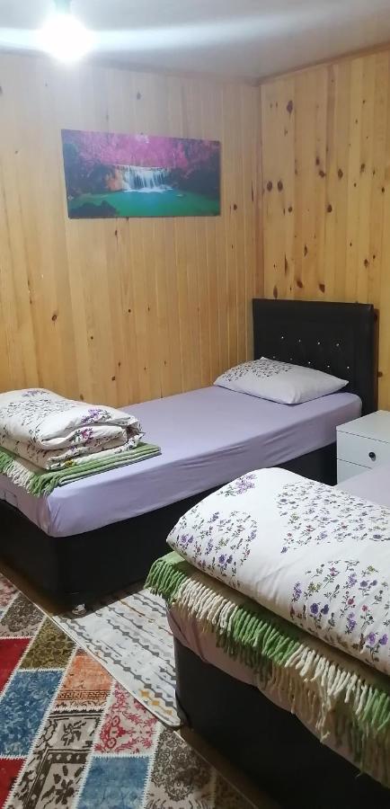 Villa Zafran 艾德亚耶拉西 外观 照片