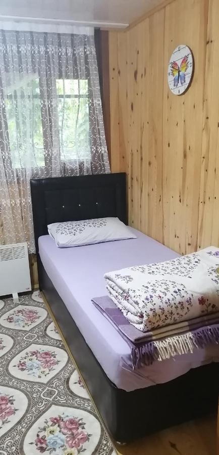 Villa Zafran 艾德亚耶拉西 外观 照片