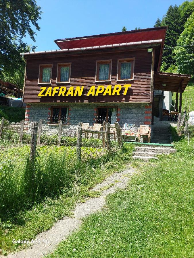 Villa Zafran 艾德亚耶拉西 外观 照片