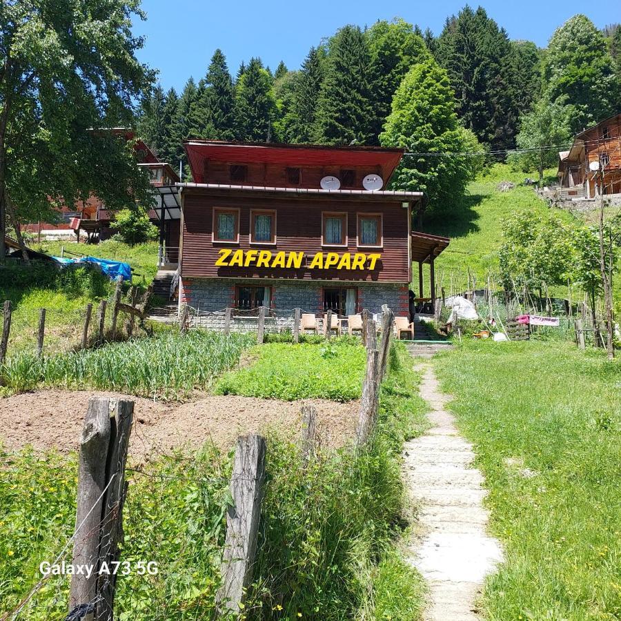 Villa Zafran 艾德亚耶拉西 外观 照片